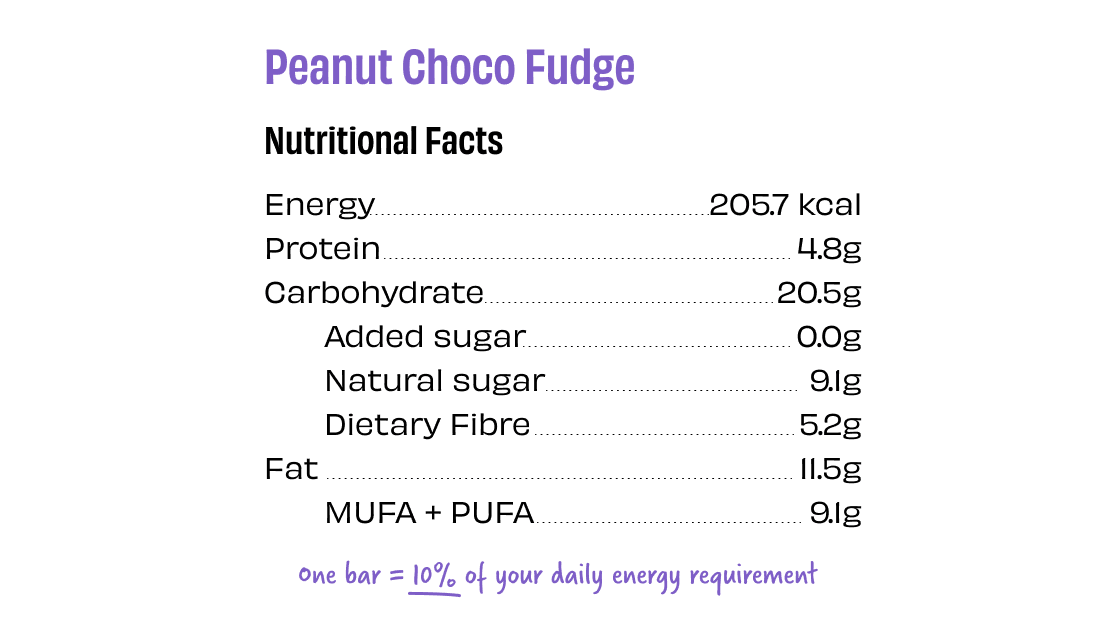 Peanut Choco Fudge (Energy Bar) (TWT) | The Whole Truth Foods at Broadway