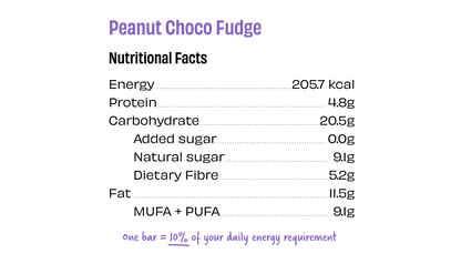 Peanut Choco Fudge (Energy Bar) (TWT) | The Whole Truth Foods at Broadway