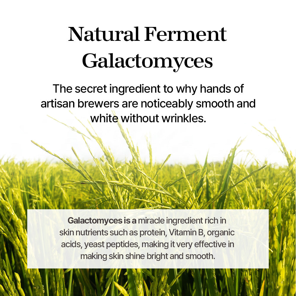 Mixsoon Galactomyces Ferment Essence 100 ml | Mixsoon at Broadway