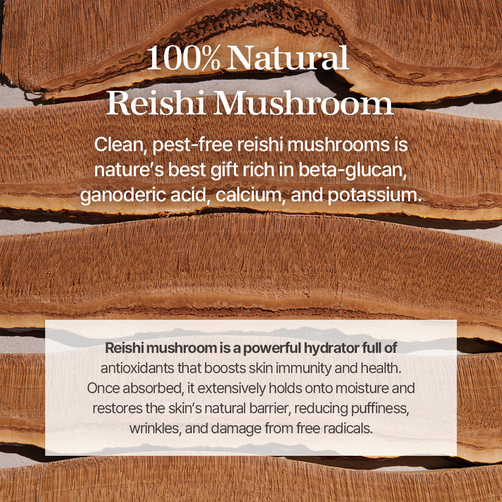 Mixsoon Reishi Mushroom Essence 100 ml | Mixsoon at Broadway