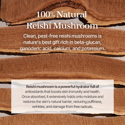 Mixsoon Reishi Mushroom Essence 100 ml | Mixsoon at Broadway