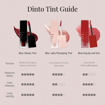 Dinto Blurring Lip Veil