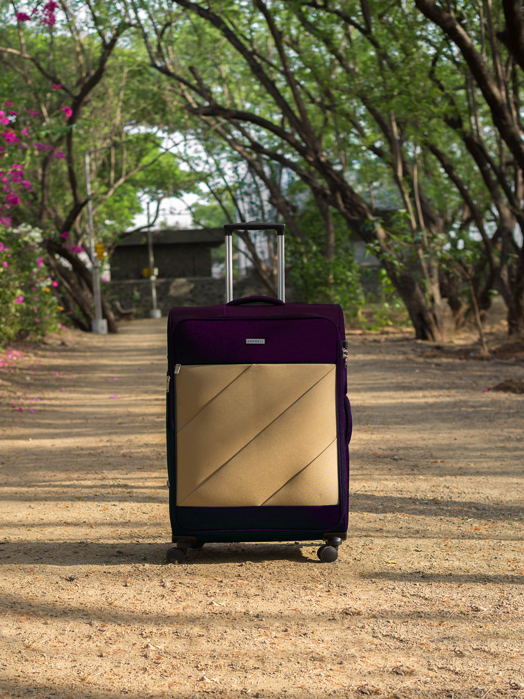 Carriall Slash Purple Cabin Luggage