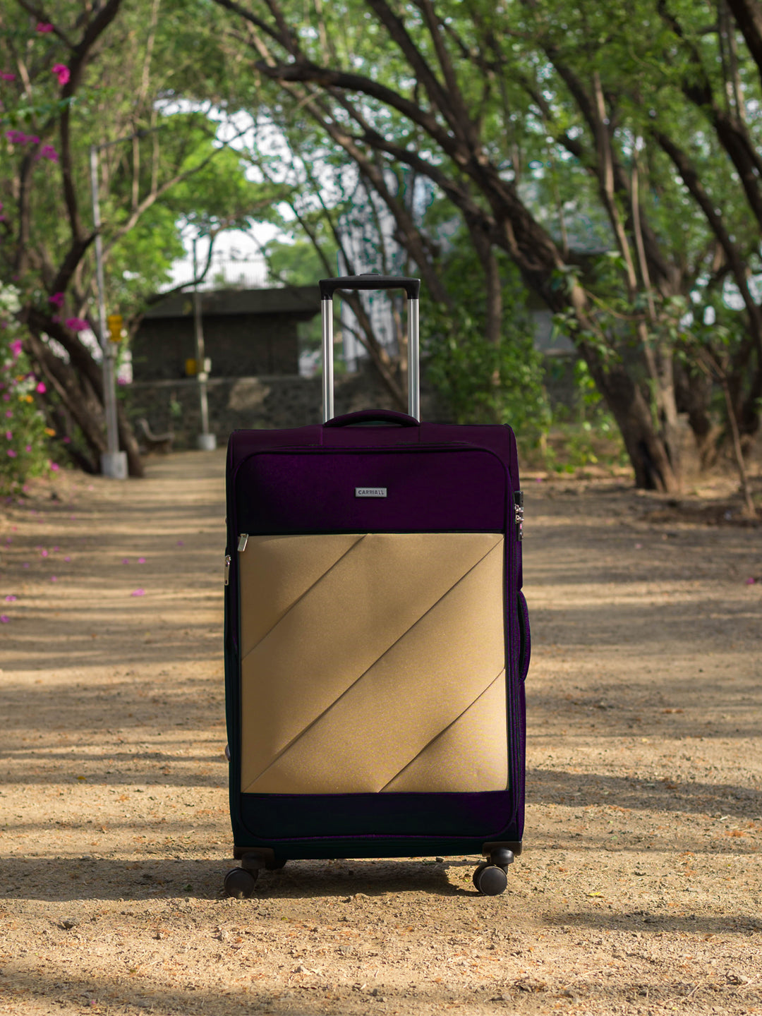 Carriall Slash Medium Size Purple Check-in Luggage