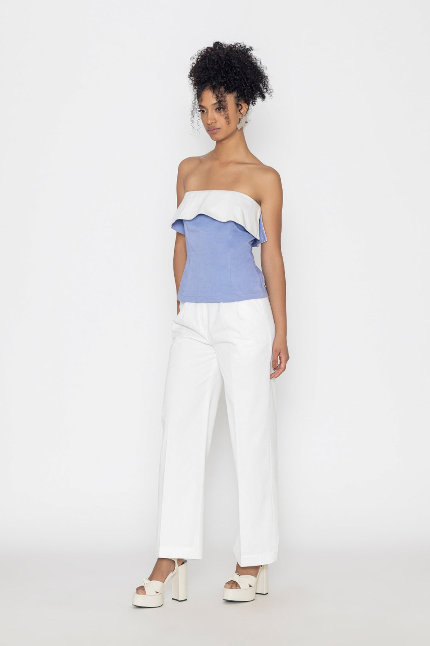 Swan lake Top