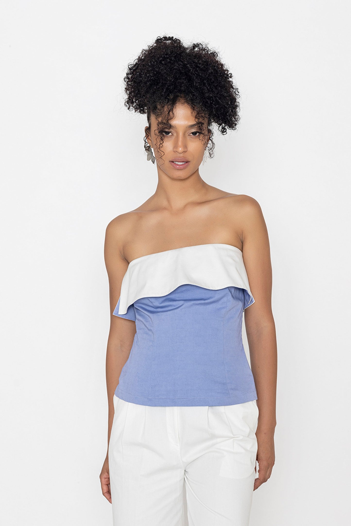 Swan lake Top