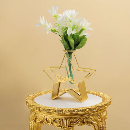 Star Test Tube Planter