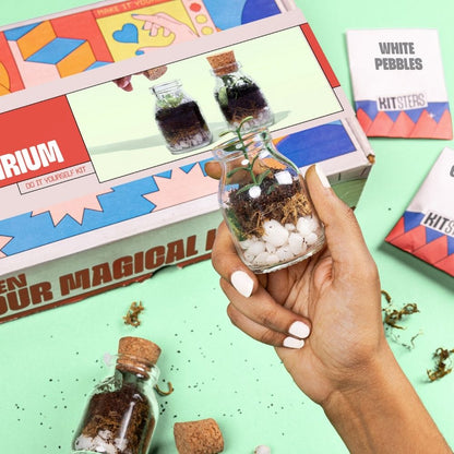 DIY Mini Terrarium Kit | Kitsters at Broadway