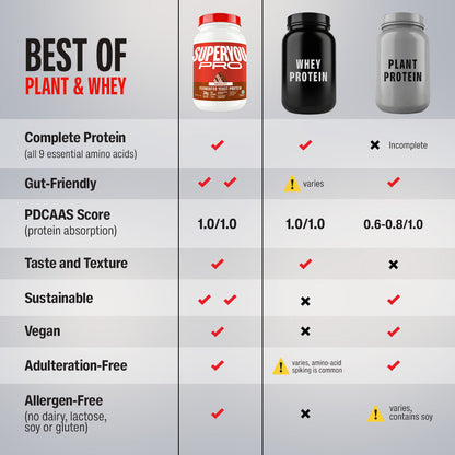 Chocolate Fermented Yeast Protein - 1Kg Jar