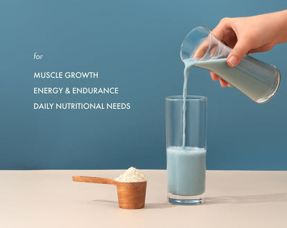 No-Nonsense Plant Protein Coconut Peppermint - 38g