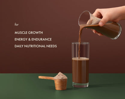 No-Nonsense Plant Protein Chikmagalur Mocha | COSMIX at Broadway