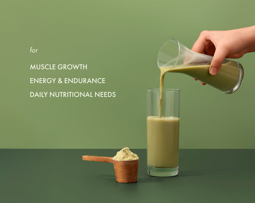 No-Nonsense Plant Protein Japanese Ceremonial Matcha - 1kg