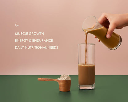 No-Nonsense Plant Protein Malnad Arabica - 38g