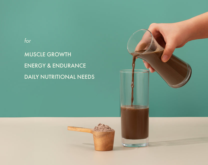 No-Nonsense Plant Protein Mint Cacao - 38g