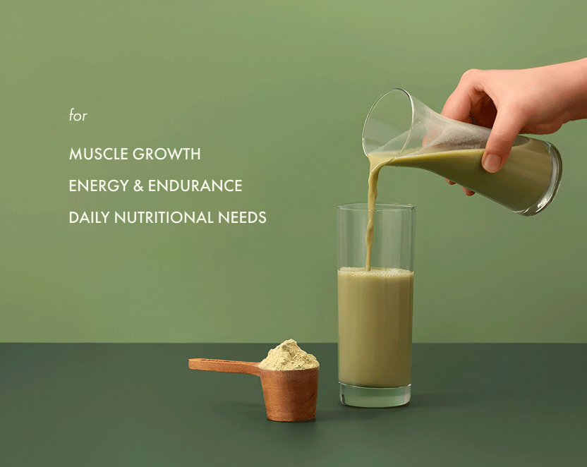No-Nonsense Plant Protein Japanese Ceremonial Matcha - 38g