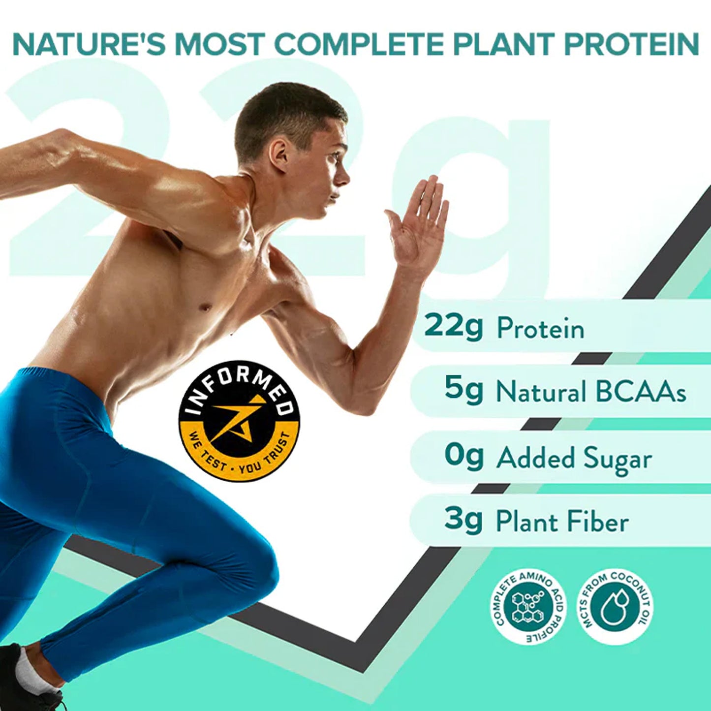 Plant Protein British Banofee Pie (500Grm)