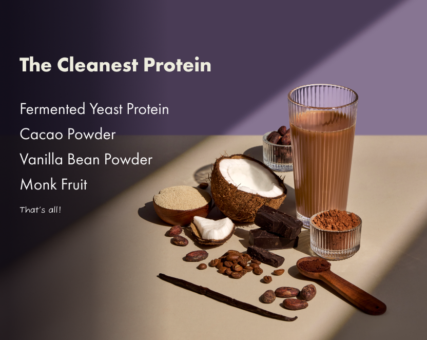 No-Nonsense Fermented Yeast Protein Indonesian Cacao - 1kg