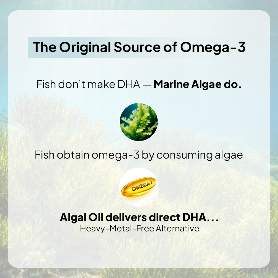 Veg Omega-3