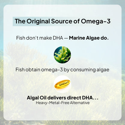 Veg Omega-3