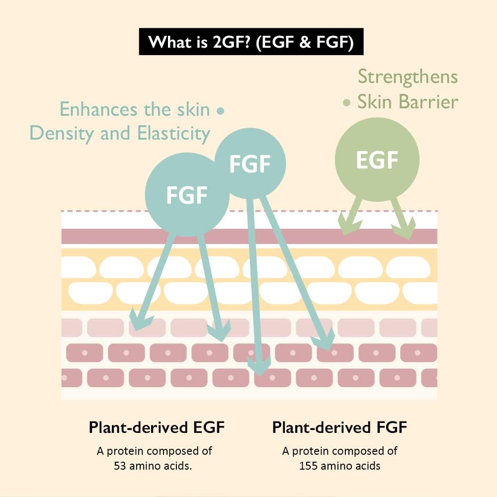 Black Rice Botanical 2GF Ampoule