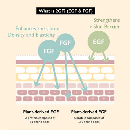 Black Rice Botanical 2GF Ampoule