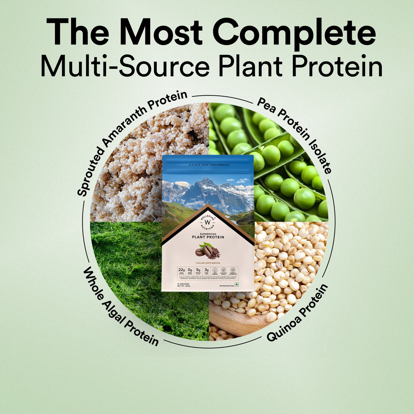 Plant Protein Café Mocha (500Grm)