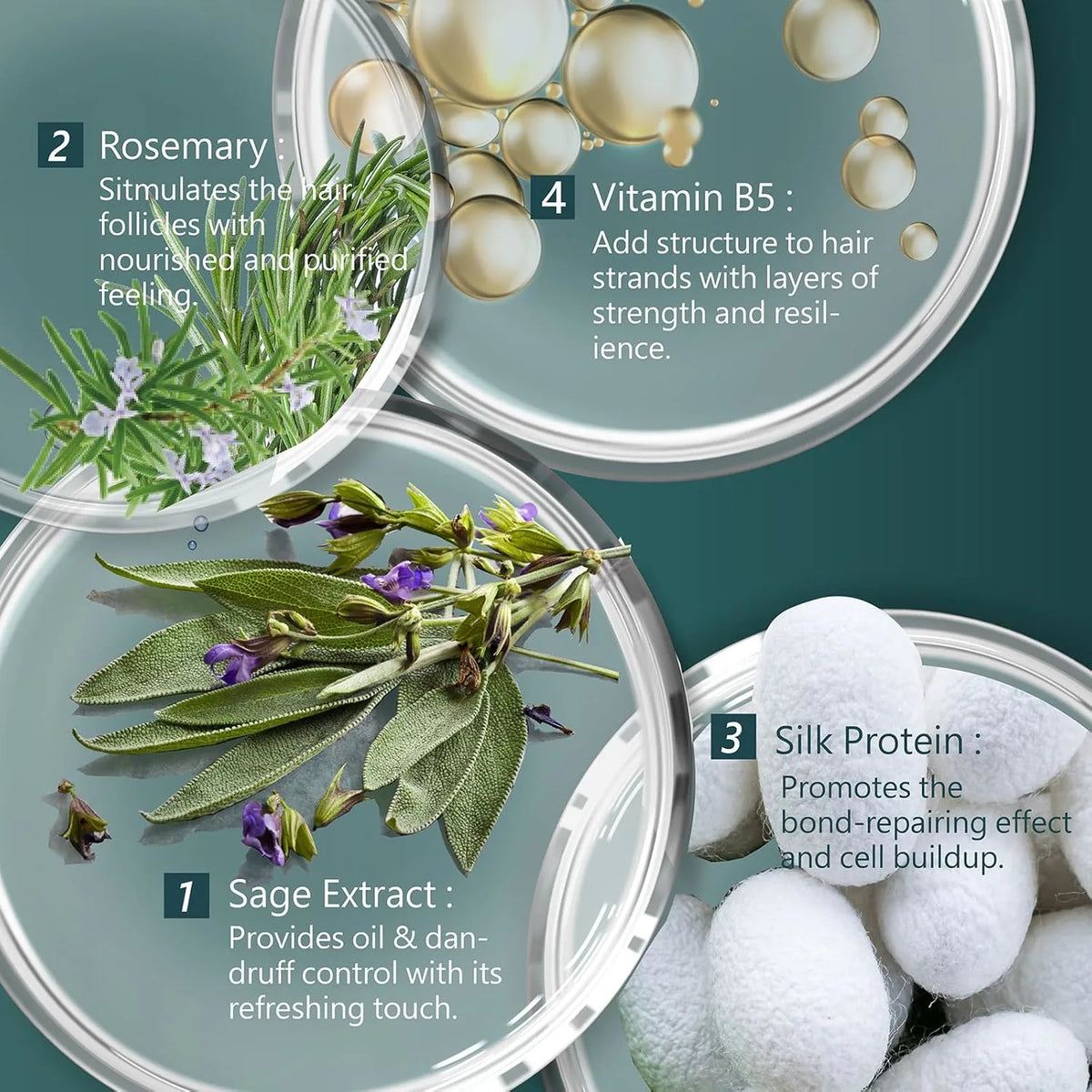 SH-RD Sage Purifying Shampoo