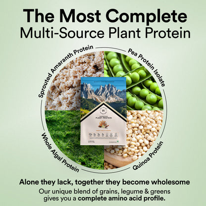 Plant Protein Superfood Vanilla (500Grm)