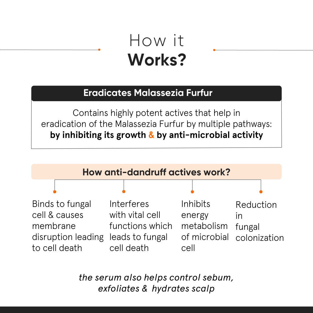 Minimalist CPH Complex + Oligopeptide 0.8% Anti- Dandruff Serum 50ml