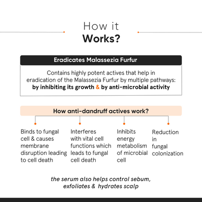Minimalist CPH Complex + Oligopeptide 0.8% Anti- Dandruff Serum 50ml