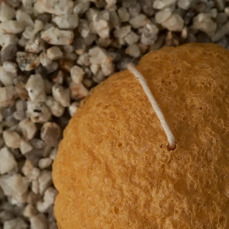 Natural Konjac Sponge
