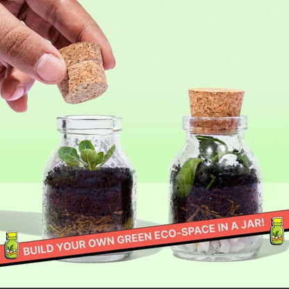 DIY Mini Terrarium Kit | Kitsters at Broadway