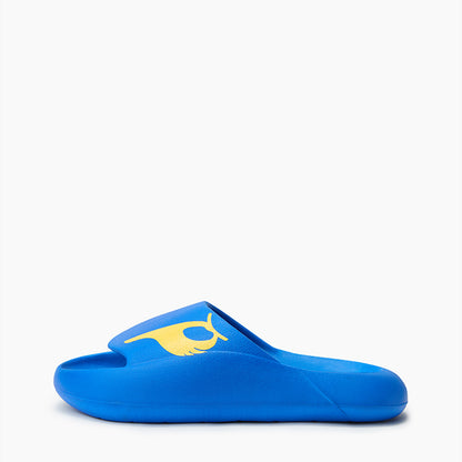 CSK Blue Slides
