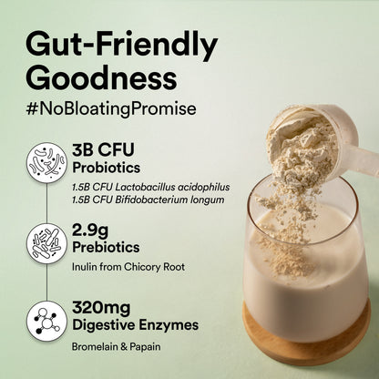 Plant Protein Superfood Vanilla (500Grm)