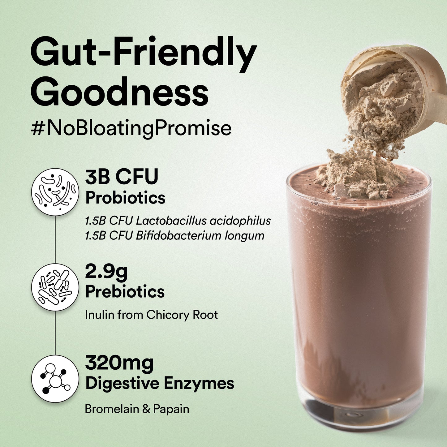 Plant Protein Café Mocha (500Grm)