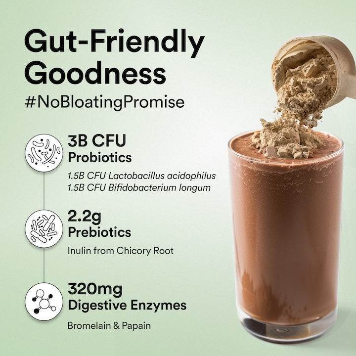 Plant Protein Superfood Dark Chocolate Hazelnut (500Grm)