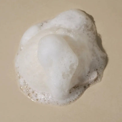 Natural Konjac Sponge