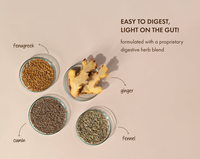No-Nonsense Plant Protein Classic Unflavoured | COSMIX at Broadway