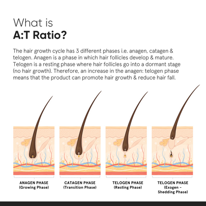 Minimalist Hair Growth Actives 18% Hair Serum 30ml