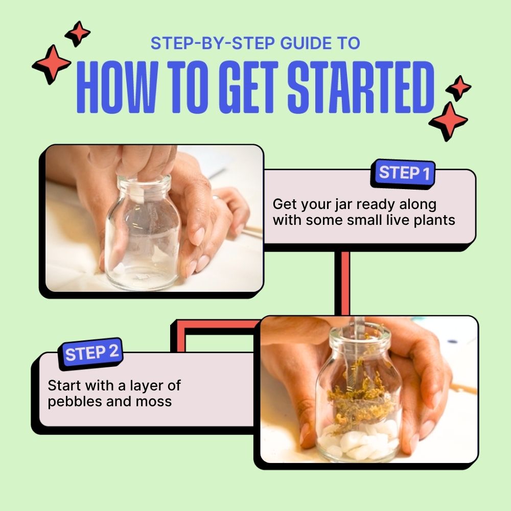 DIY Mini Terrarium Kit | Kitsters at Broadway