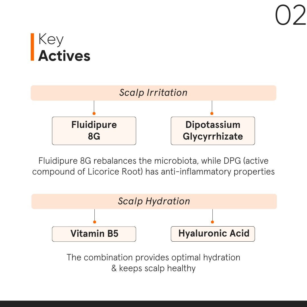 Minimalist Vitamin B6 + Carnitine 03% Scalp Serum 50ml