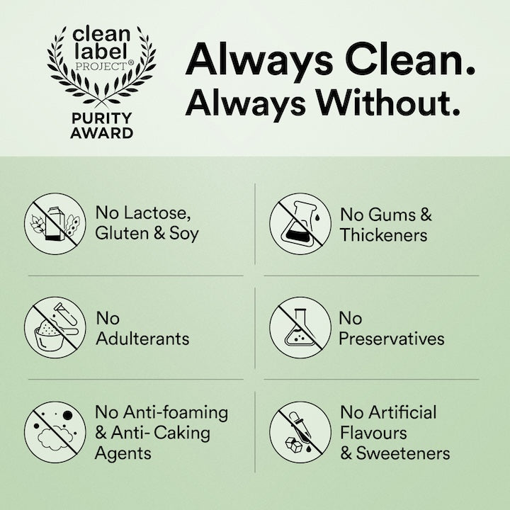 Plant Protein Superfood Dark Chocolate Hazelnut (500Grm)