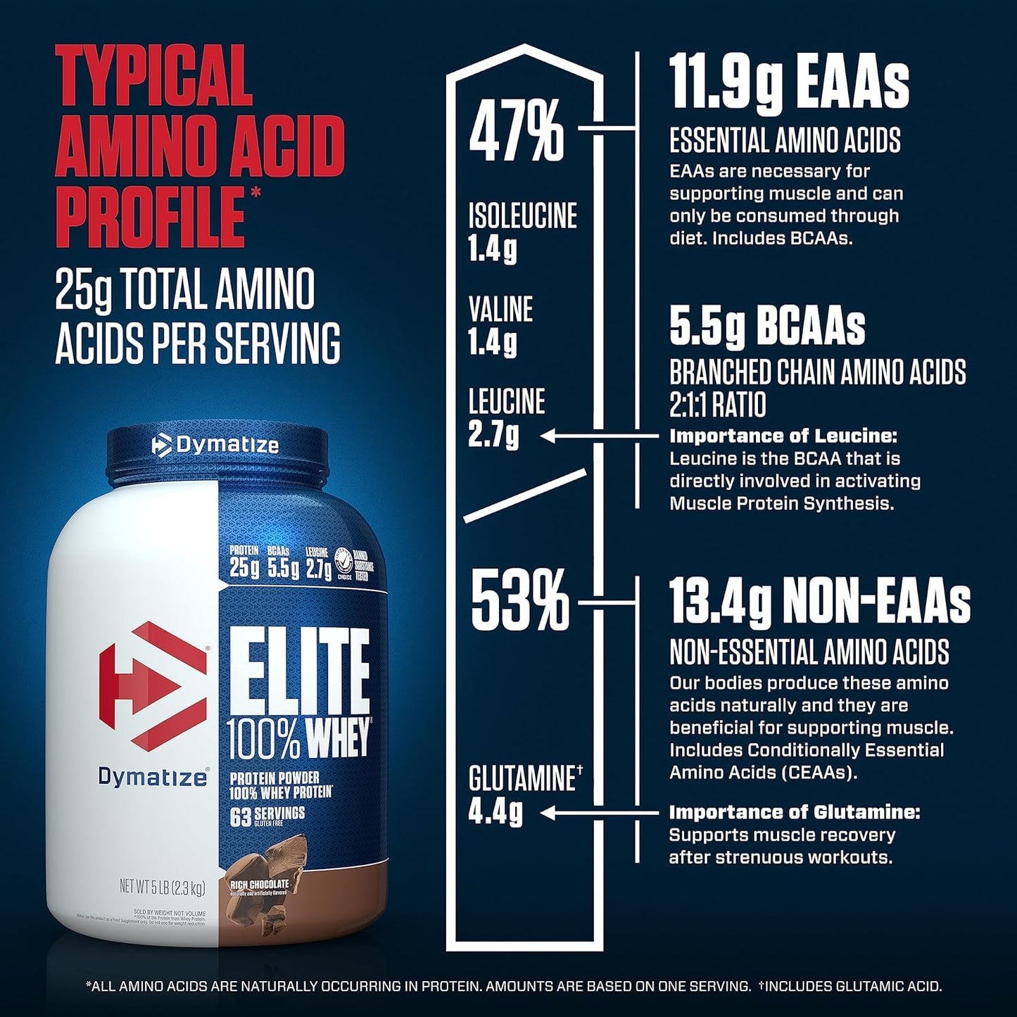 Dymatize Nutrition Elite 100% Whey Protein (Rich Chocolate)