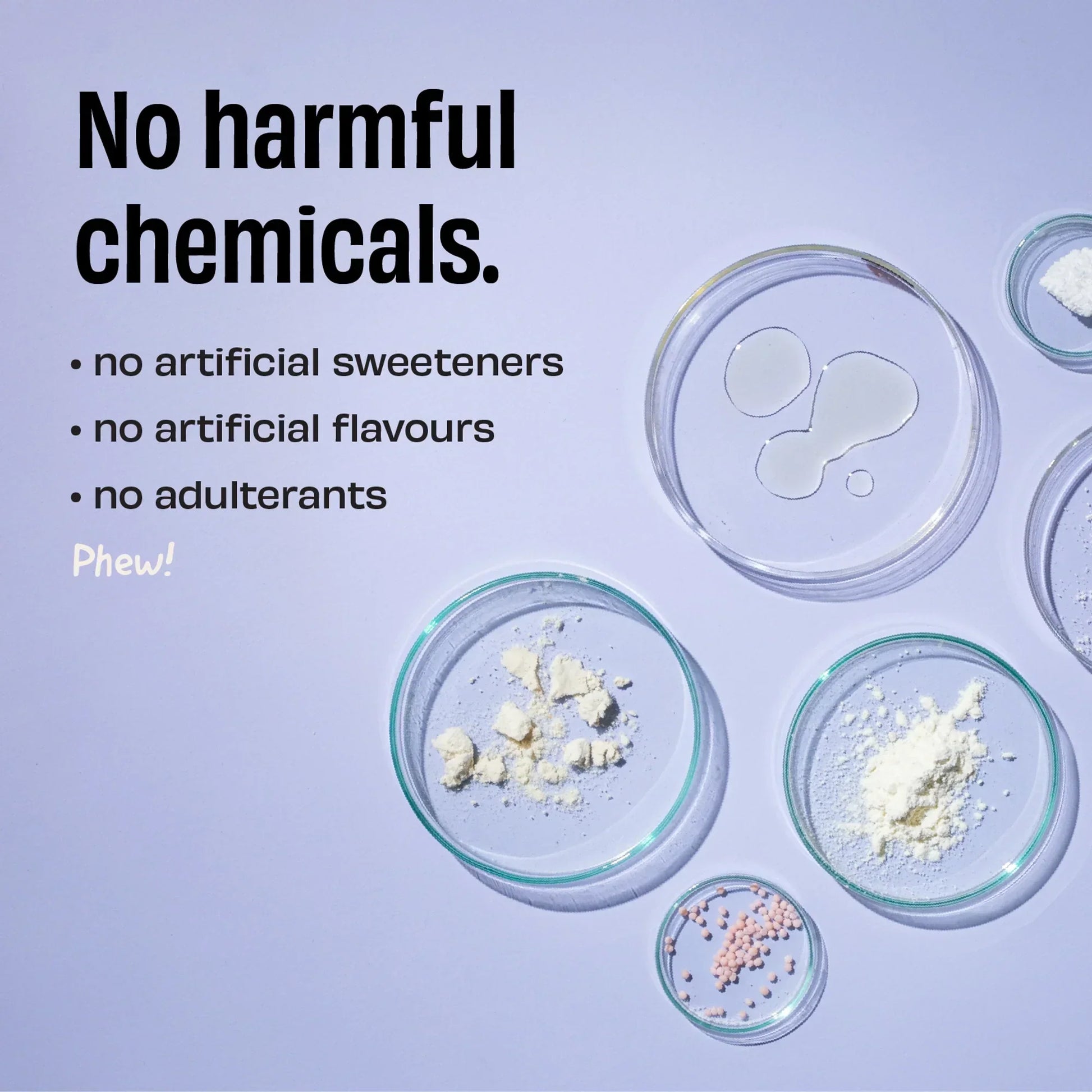 The Whole Truth 24g Whey Protein Isolate + Concentrate - 1kg | The Whole Truth Foods at Broadway