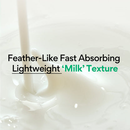 Innisfree Green Tea Ceramide Milk - 160 ml