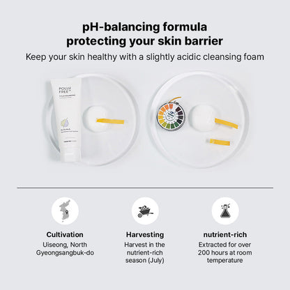 Thank You Farmer Pollufree 5.5 pH-Balancing Cleansing Foam | Thank You Farmer at Broadway