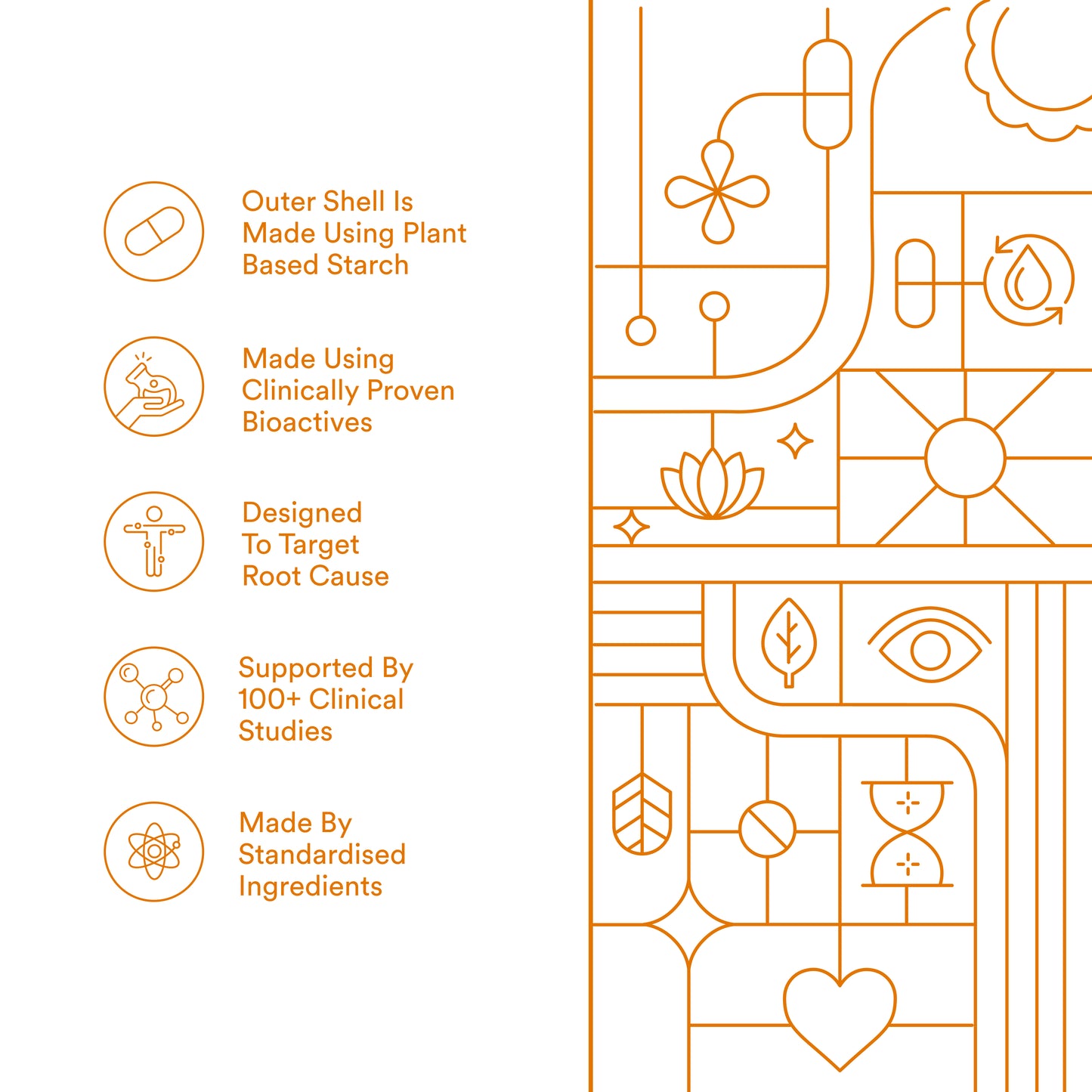 Origins Nutra Sea Buckthorn Oil |Reduce Wrinkles & Pigmentation, Supports Skin Hydration & Elasticity | Sea Buckthorn Oil | GMP Certified | For Men & Women | 28 Capsules.