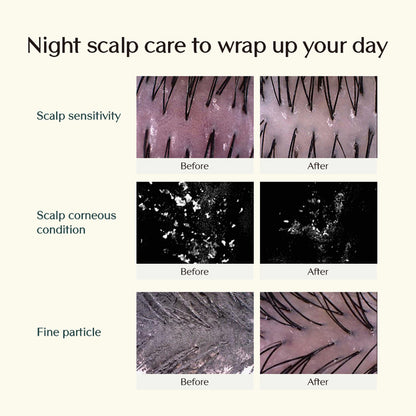 Treecell Night Collagen Shampoo Midnight Forest