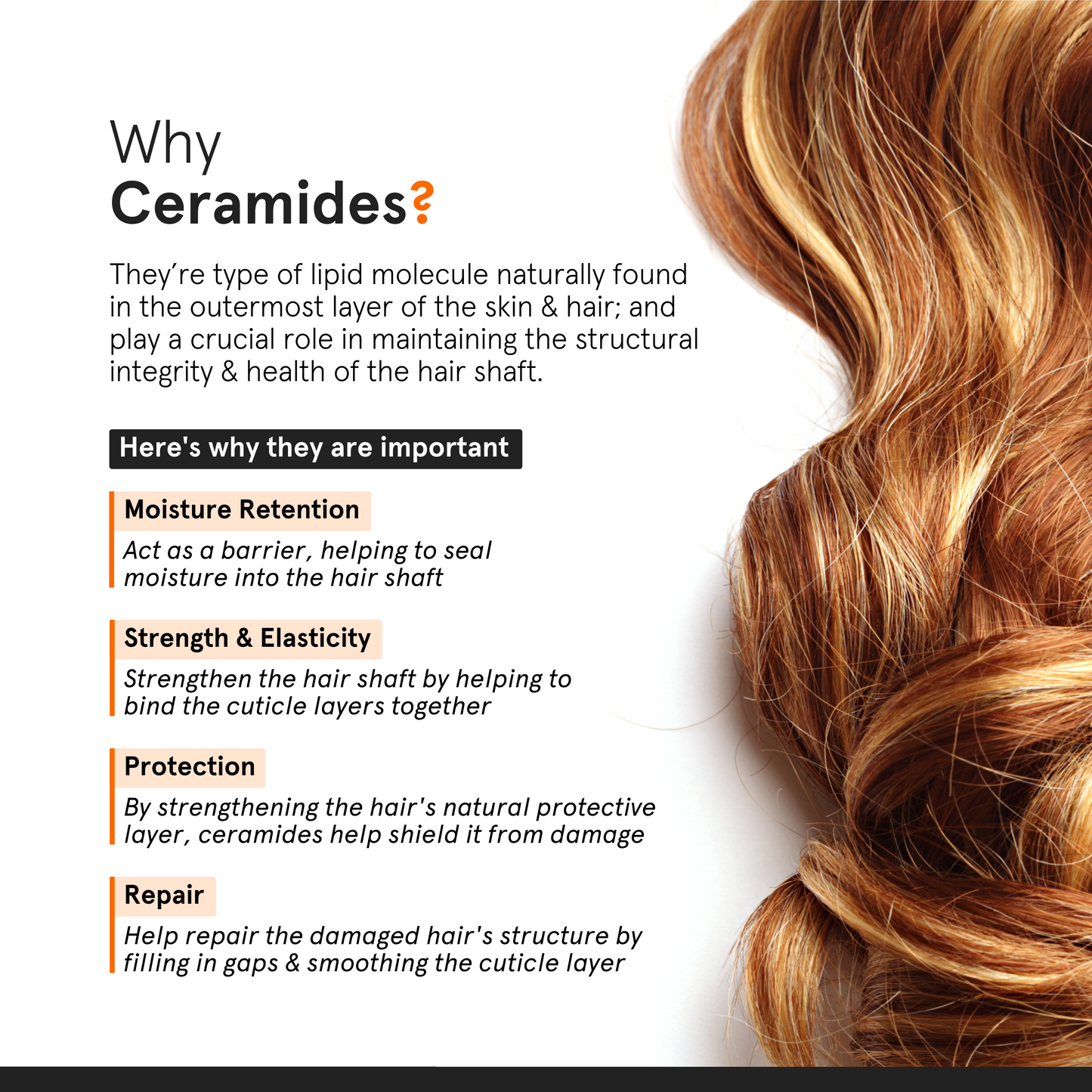 Minimalist Frizz Control Complex SPF 30 Hair Serum 50ml