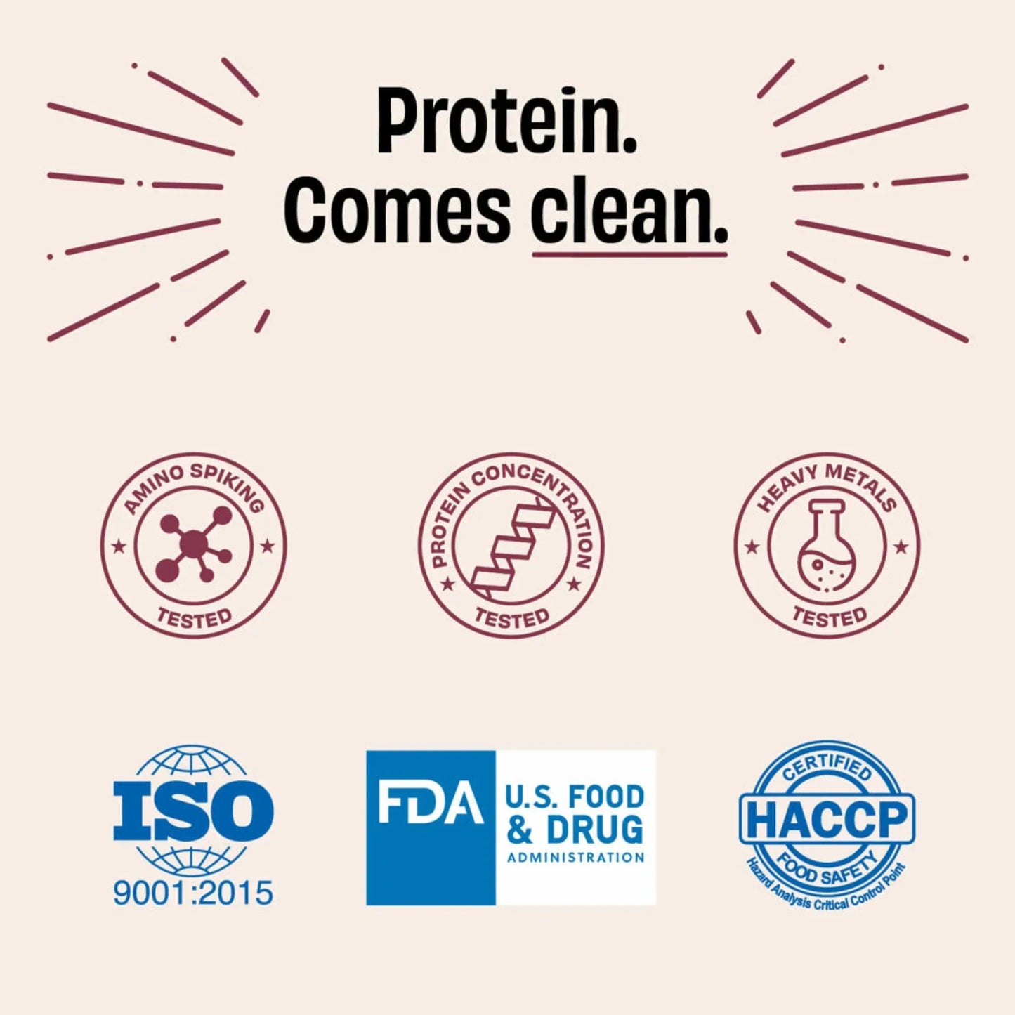 The Whole Truth 24g Whey Protein Isolate + Concentrate - 1kg | The Whole Truth Foods at Broadway